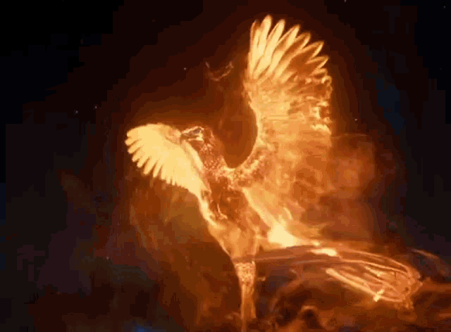 cY61gcRal7BRf3Nz.gif