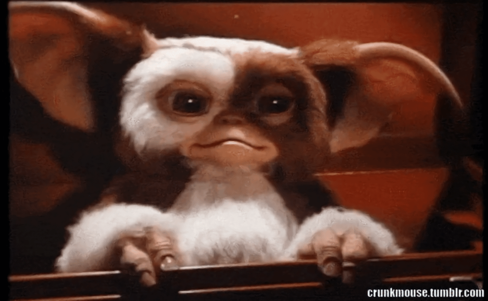 2ncGogBXS8mL6PDu.gif