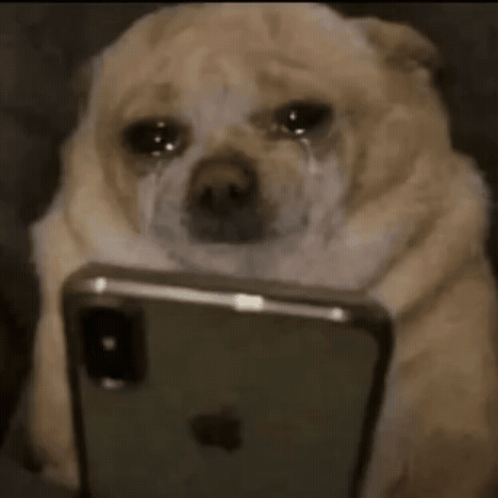 7fGByWraJTm8acxk.gif
