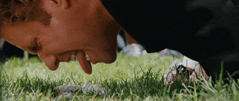 91ozEkdxMvPJAf5e.gif