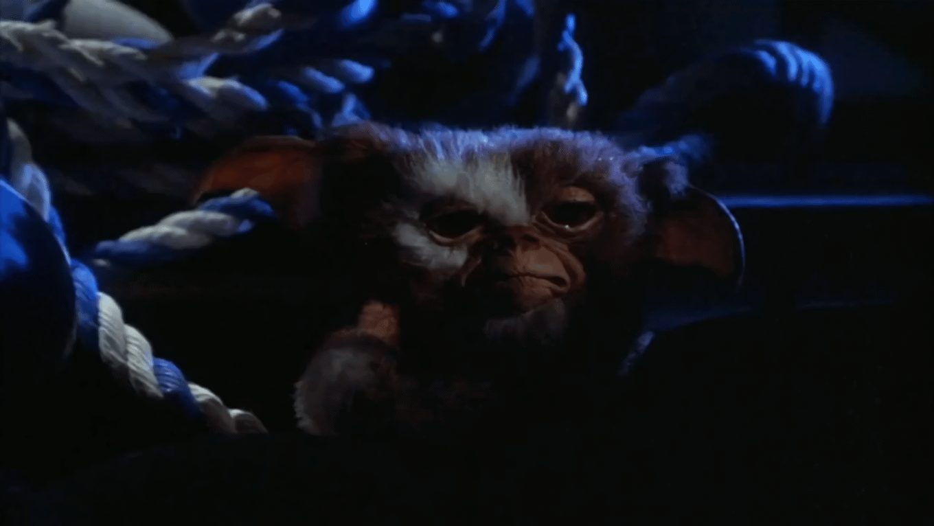 ASDZYCNXiJpHhP1U.gif