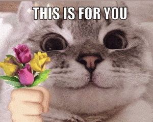 DH3j09PztL9UeCED.gif