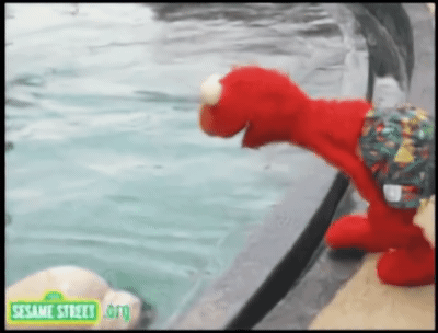 EUwUMzEeFFuRmT59.gif
