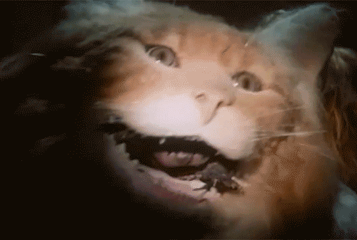 HBSOJjd8B2L4bVXD.gif