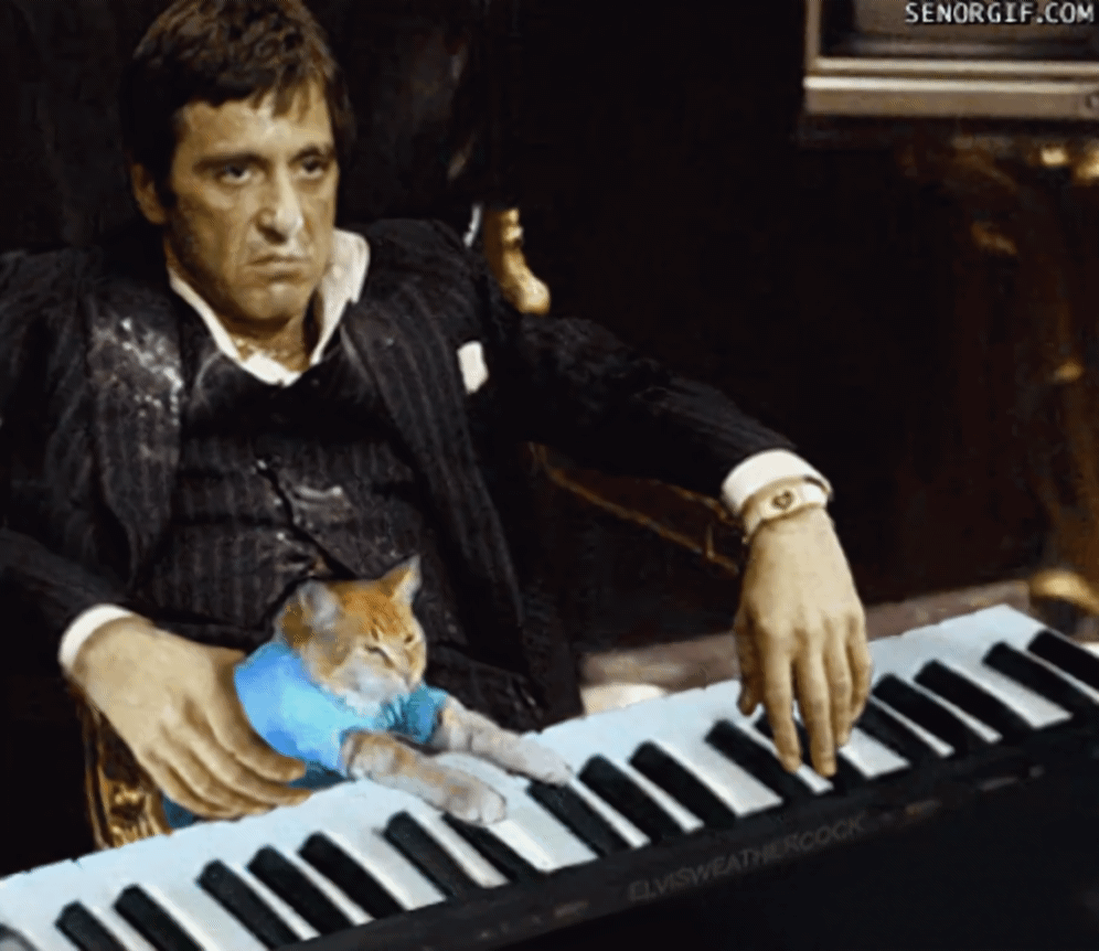 KQlYZY5k7G52475d.gif