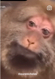 MJpiv6aIizbenE0z.gif