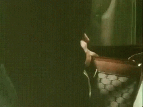 MYtvFDvtExOv4D2q.gif