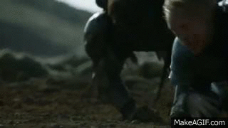 OJUQsWR2upeienxK.gif