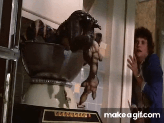 Q8VRqK2Aayequf7C.gif