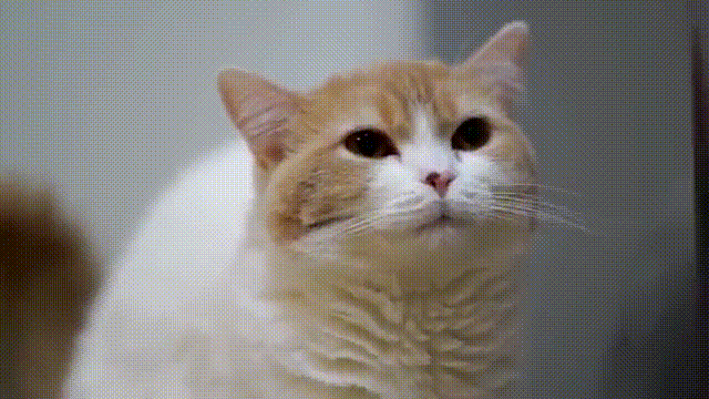 QkzbBMDMdPFtHhnn.gif