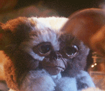 R4DNwVia9yVmMGR3.gif