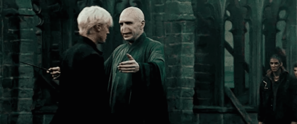 S3J85XJHHKzwPvuz.gif