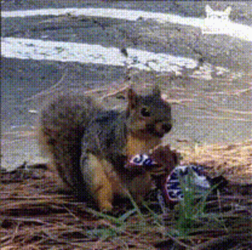 Ua0zyxJKCSIPjhR2.gif