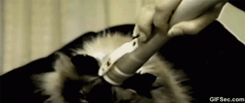 UcHkltZUg00TZmiQ.gif