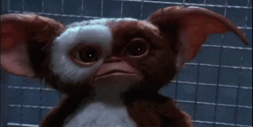 bJdipuIG5Vt6SVuc.gif