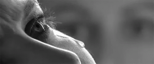 cpjyLsOAj0Q7pS5n.gif