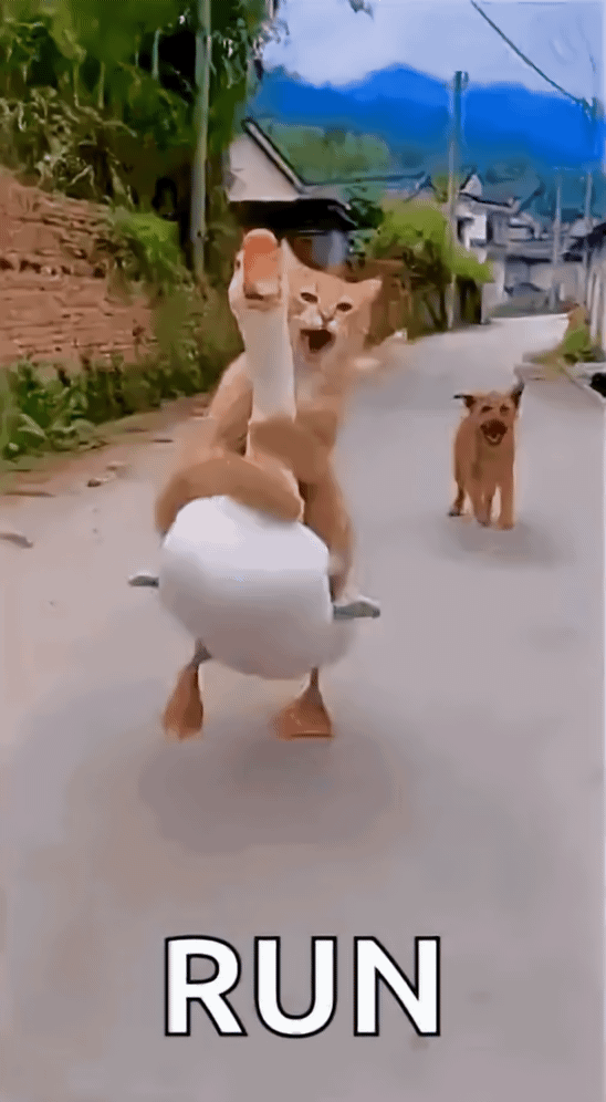 dmMufZt69KriFv0V.gif