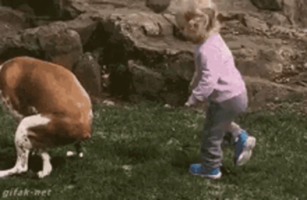 eTtdGze2qx4GZgZZ.gif