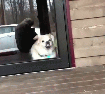 fygnMzXpXvJ3b319.gif