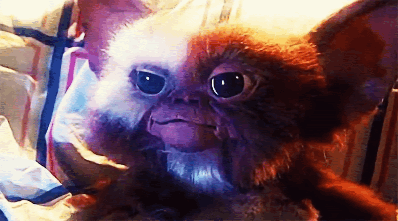 pGDZY2CovW42WbXv.gif