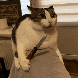 pqBdMta2e3ik5T5q.gif