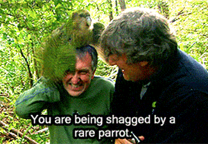 qJsduY8B1aV3rPT2.gif