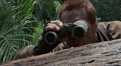rtWH7M9tqiGTDMT2.gif