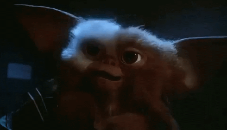 uBLNkY097Nr8d9TU.gif