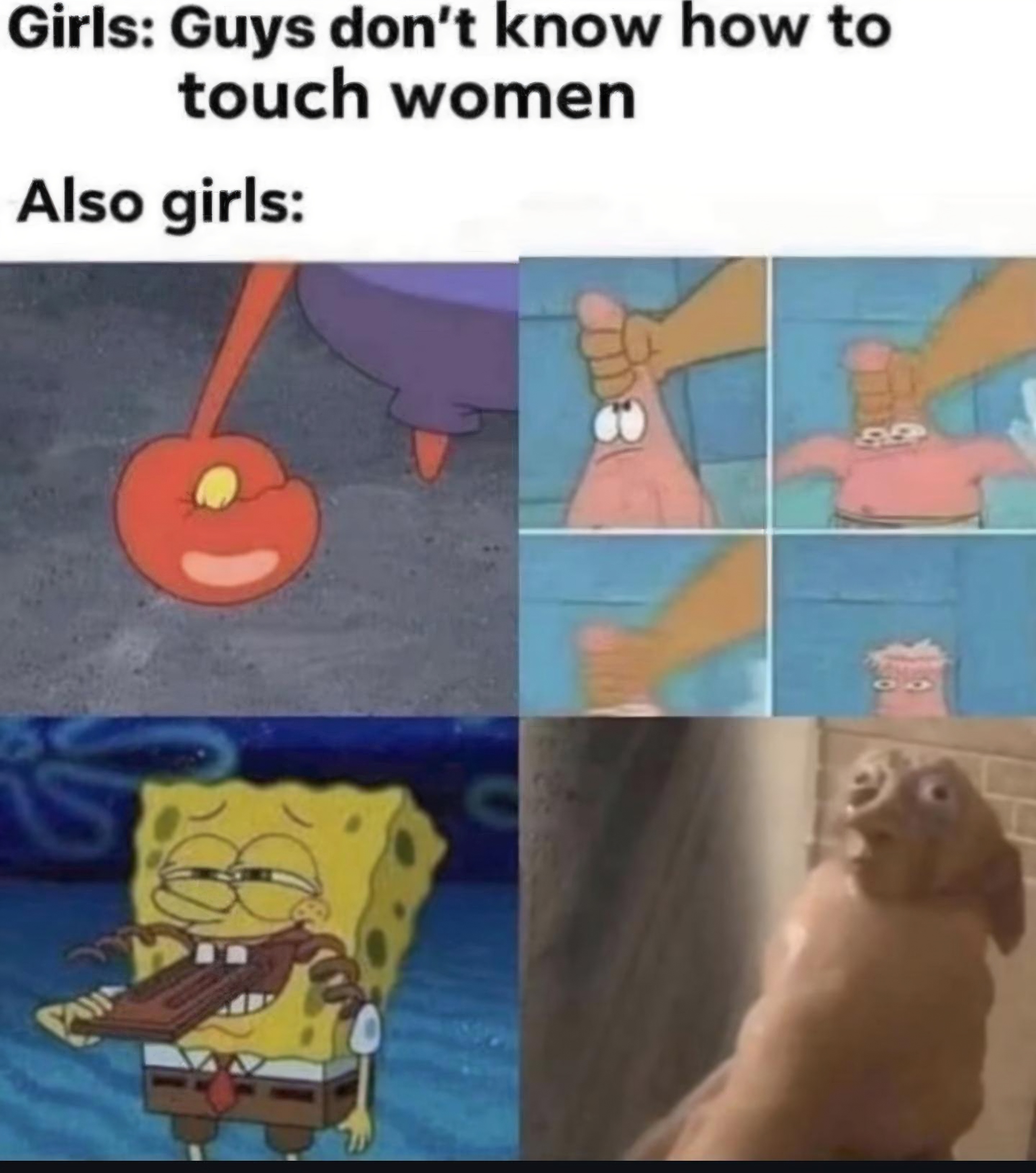 ws2DLhembMZ7xqM1.jpeg