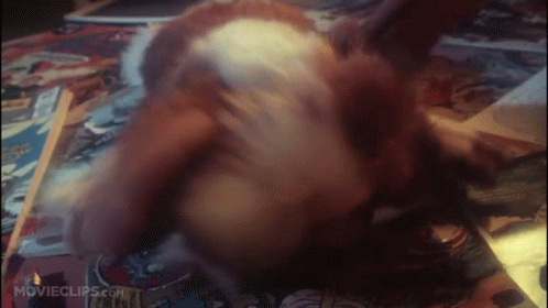xGBeSrLOvcUJk3Al.gif