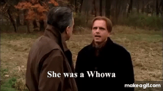 xwztcRPrGpLnMwYk.gif