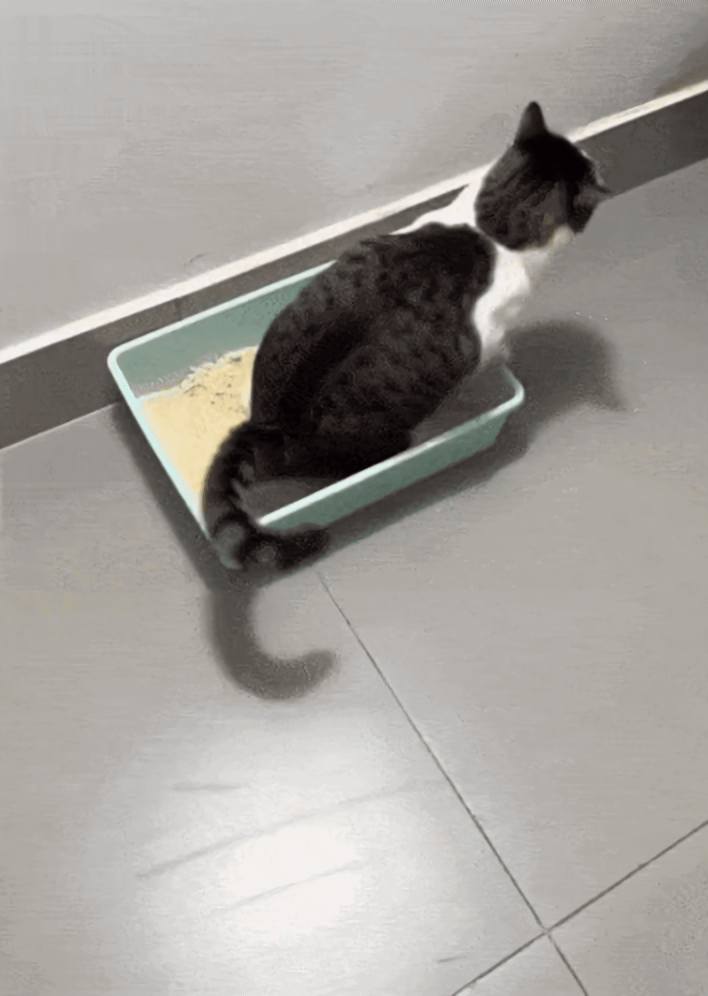 y5ukXTSXbtDpqNYu.gif