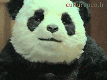 zU0jCHOqGG80CdV8.gif