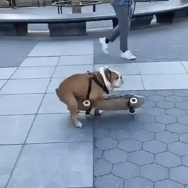 9gVB9kFRk323hm4G.gif