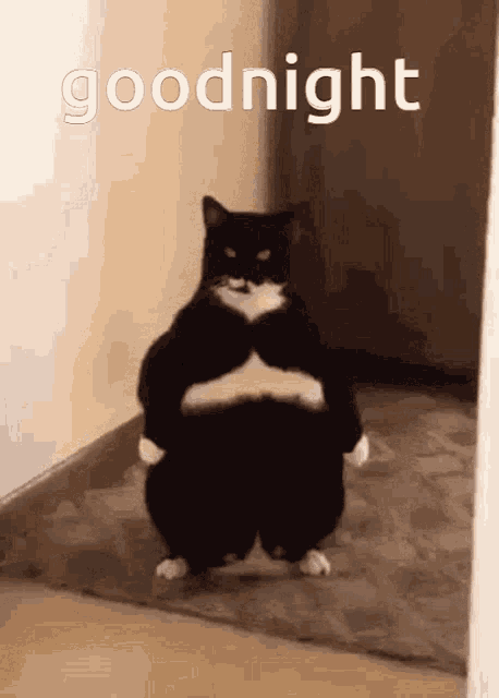 DvP64KdJWIybbYfi.gif