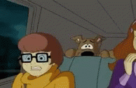 Sw7fSfq6QbaS6YQT.gif