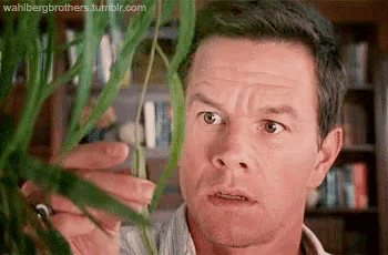 sFqegLihq6FgDwsA.gif