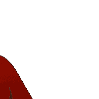 tNrwntqkcT5C8w2T.gif