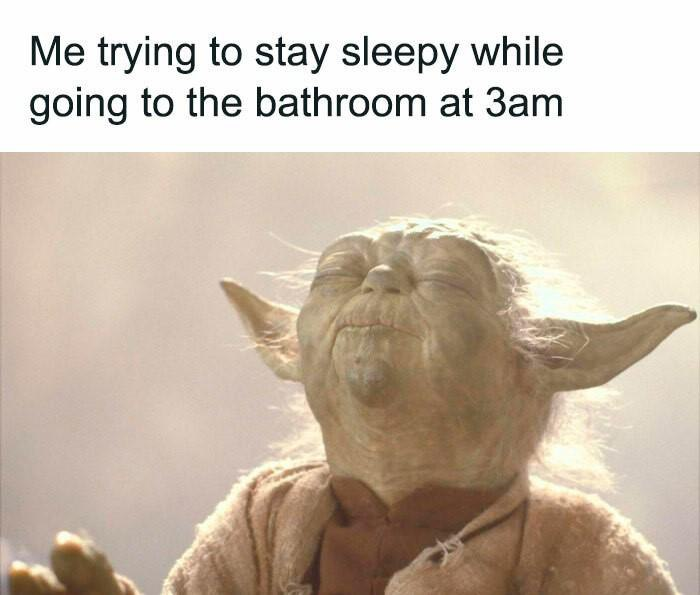 8ujMASqWF3SznGBn.png
