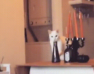 RyRwZm28R4CLPywJ.gif