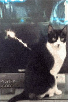 WEu1ohBSqXN7yZm0.gif