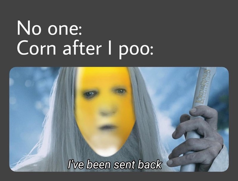 gpaM01ObVbiWFoCq.jpeg