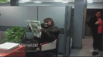 ooBNoFzQZaDcAnPI.gif