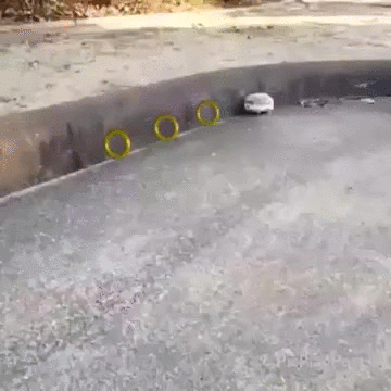 uM8ELPfiYh5X7E7y.gif