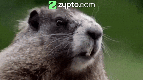 u75DwSN19VJG8QnJ.gif