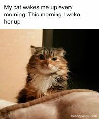 e9D2D7sQ4gpsaOCQ.jpeg
