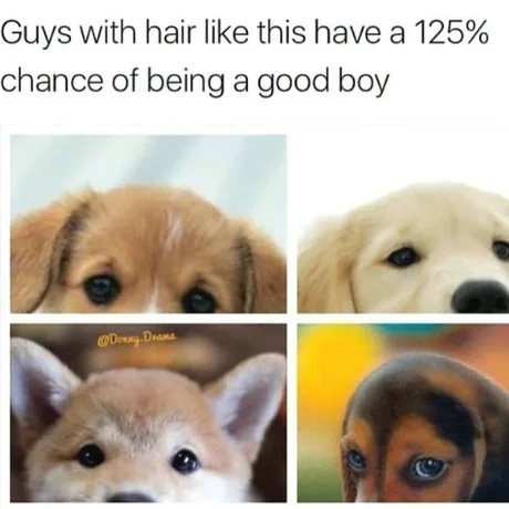 AeHbTpLZUAMEFAKH.jpg