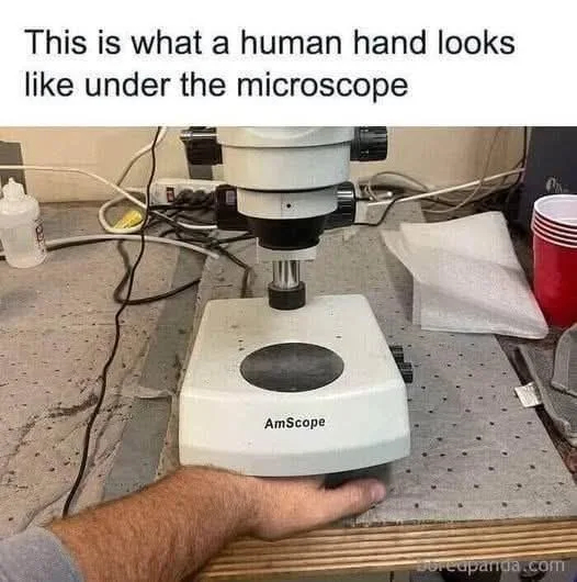 r7zDVXTPXPPVDJkF.jpg