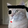LZoewIHdYRmjsv8o.png