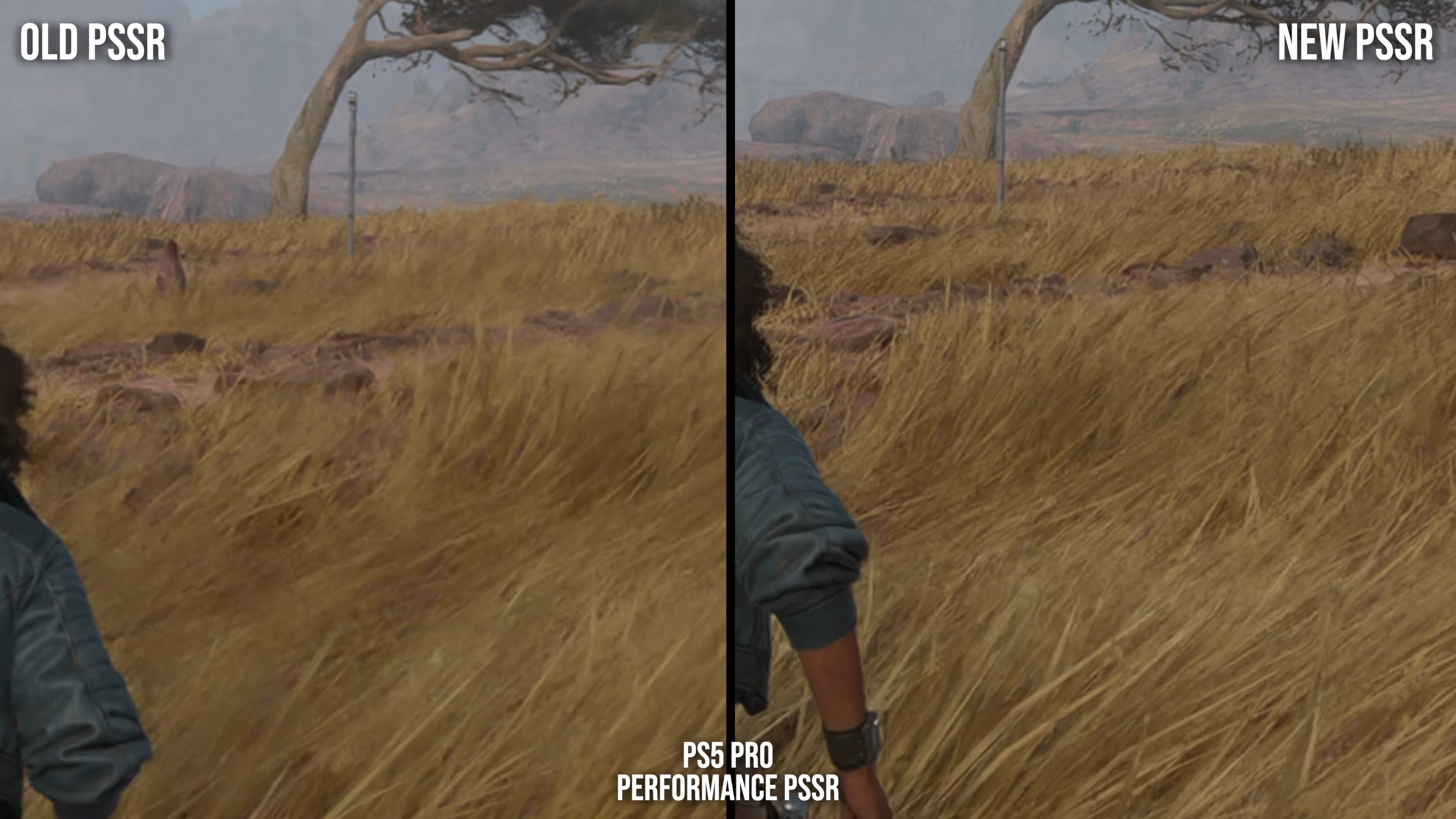 GNdjQzpYDbbJoRNZ.jpg